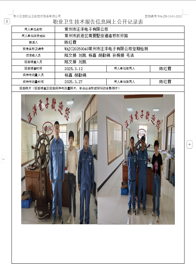 汪洋电子.jpg